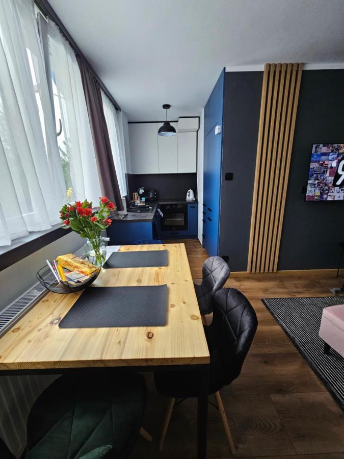Apartament Leszczynska 29 Μπιέλσκο-Μπιάλα Εξωτερικό φωτογραφία
